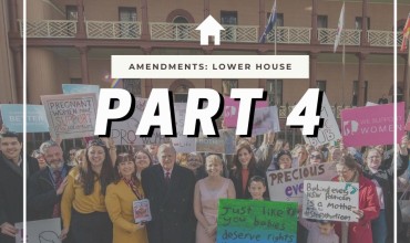 Abortion Law Reform Act 2019 – Lower House Amendments