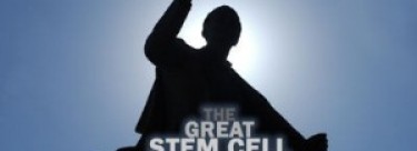 The Stem Cell Debate