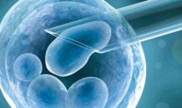 IVF Issues – Facts, Figures, Ethical and Emotional Issues